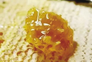 寧陜山珍 縣域公共品牌亮相古城西安，引領初級農產品新風尚