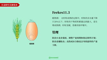 農產品基礎知識系列 大豆、小麥與家禽家畜